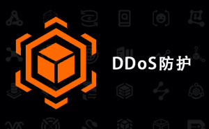 DDoS防护